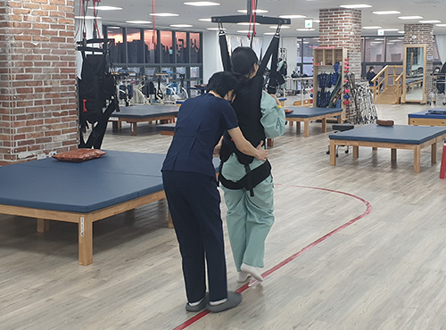 보행레일